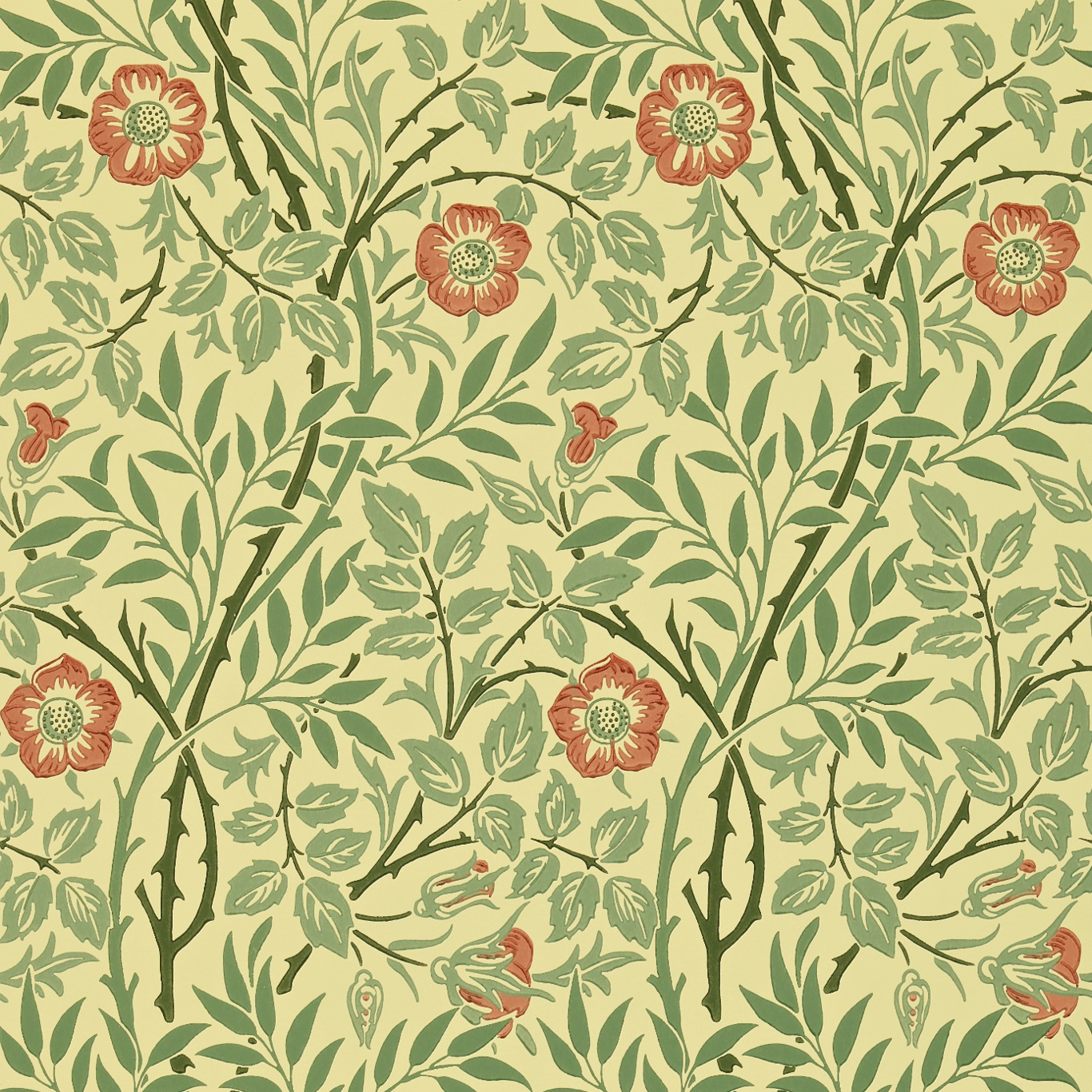 Sweet Briar Wallpaper 210478 By Morris Co In Green Blue Rose